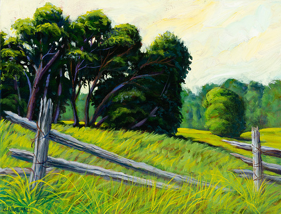 Summer Splendour   14" x 18"   $800.