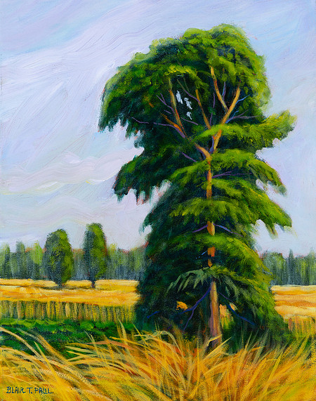 Tree by a Field   14" x 11"  $650.
