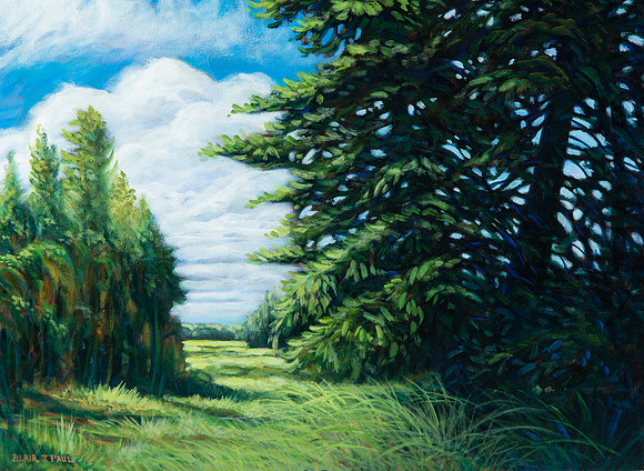 Field Road - 16"x 20" $250.  GP$900.  SOLD