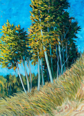 Poplars - 20"x16"   $900.  SOLD