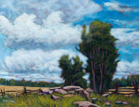 Summer Fields - 16"x20"  $900.