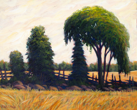 Summer Field II  14" x 18" $200.  GP$800.