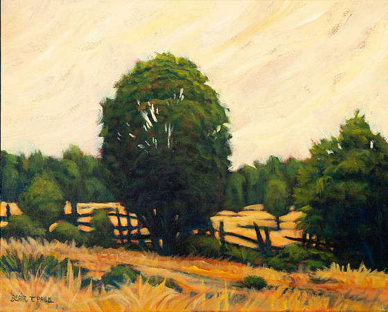 Hazy Sky 16' x 20"  $250.  GP$900.