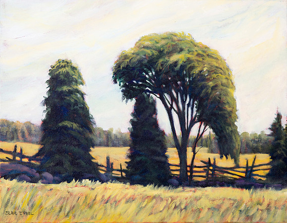 Summer Field  14" x 18"  $200.  GP$800.  SOLD