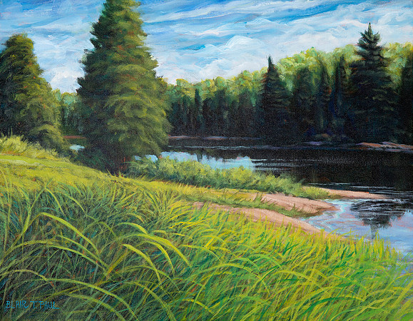 Horne's Lake  16" x 20"  $250.  $900.