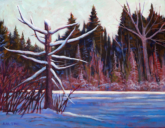 Frozen Pine II  14" x 18"  $200.  GP$800.  SOLD