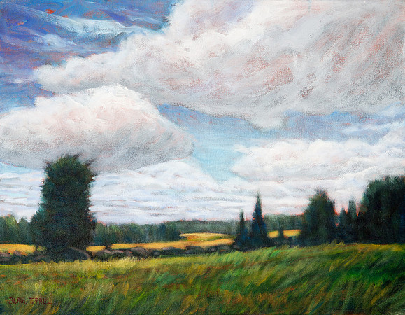Summer Sky  14" x 18"  $200.  GP$800.  SOLD