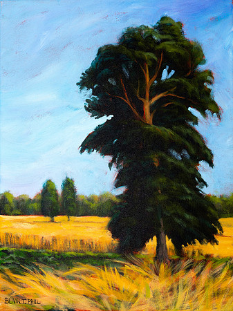 "Trees & Grain Field" 16"x12" $185.  GP$700.  SOLD