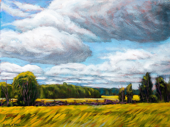 "Pasture Lands" 12" x 16" $185.  GP$700.  SOLD