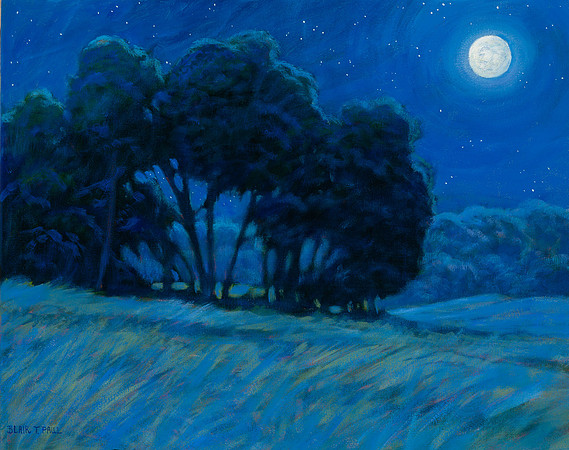 Silent Summer Night    14" x 18"   $800.
