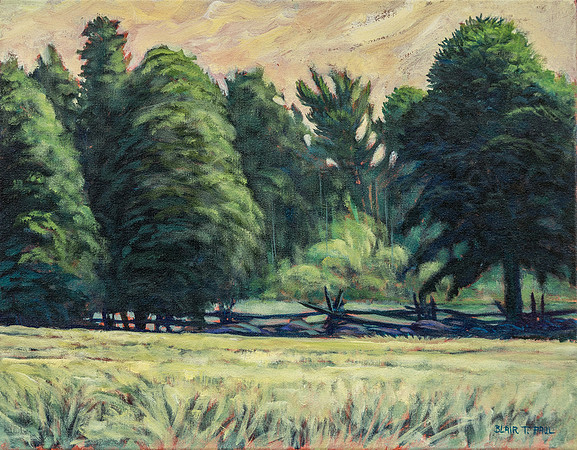 Summer Pasture - 18" x 24"  $350. GP $1100. SOLD