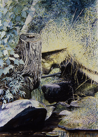 Summer Stream    -Sold